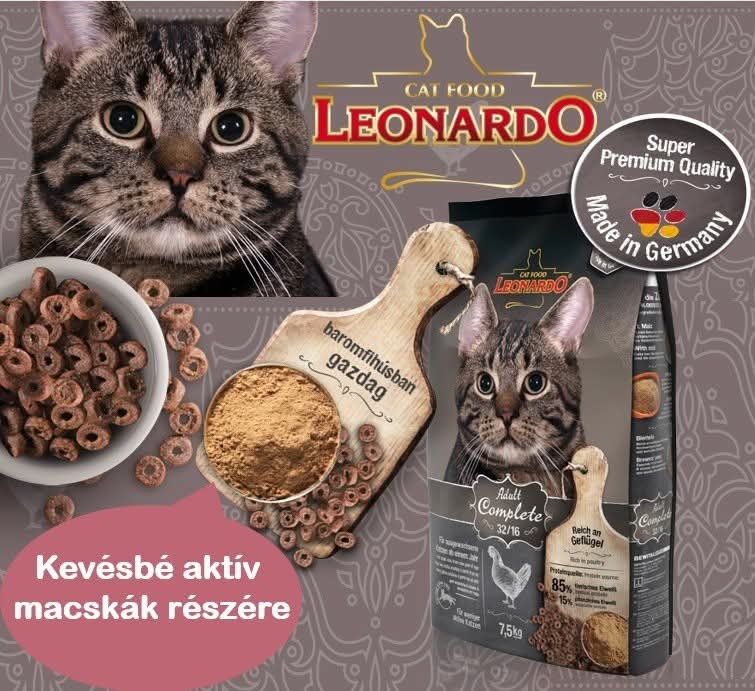 dogcatplanet