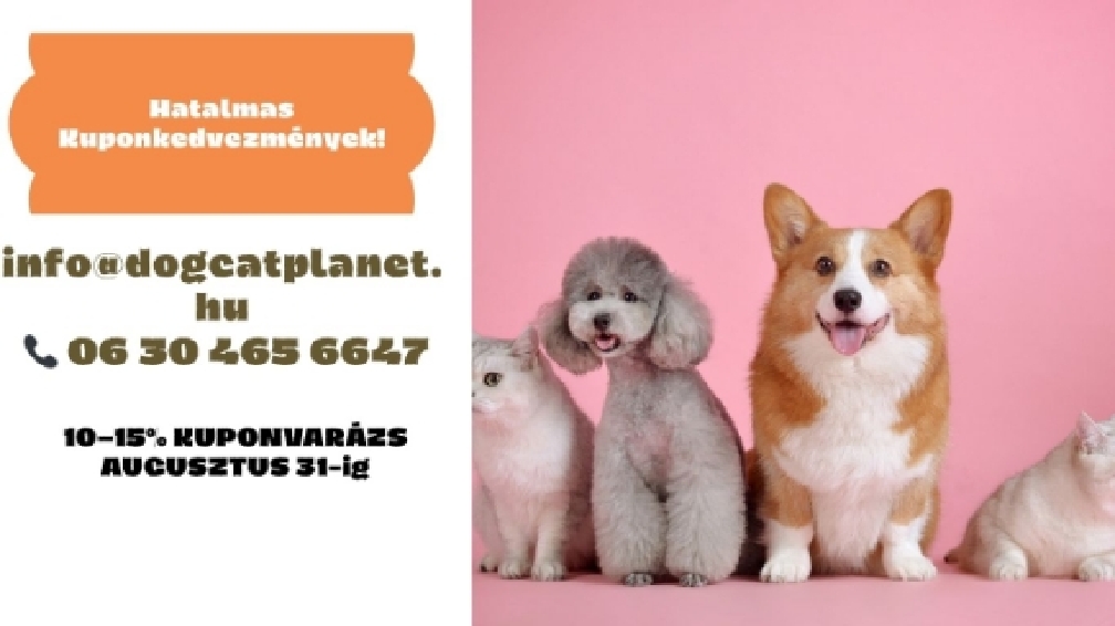 dogcatplanet
