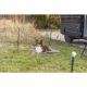 Trixie Mobile dog fence - kerítés (mobil,fekete) kutyák részére (15m kerítés/10db rúd)