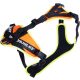 Julius K-9® Mantrailing hám méret: L-XL / UV narancs neon szegővel